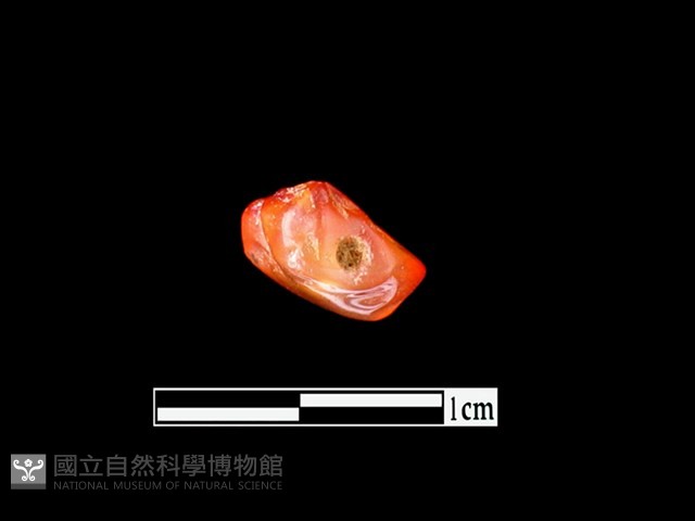 瑪瑙珠藏品圖，第3張