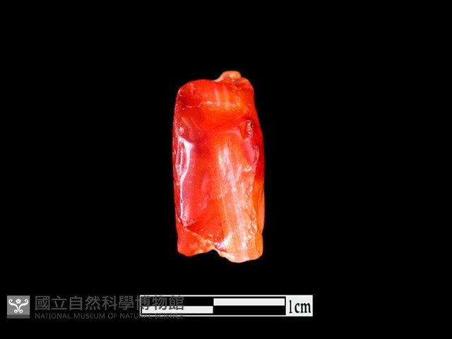 瑪瑙珠藏品圖，第3張