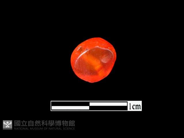 玉髓珠藏品圖，第3張