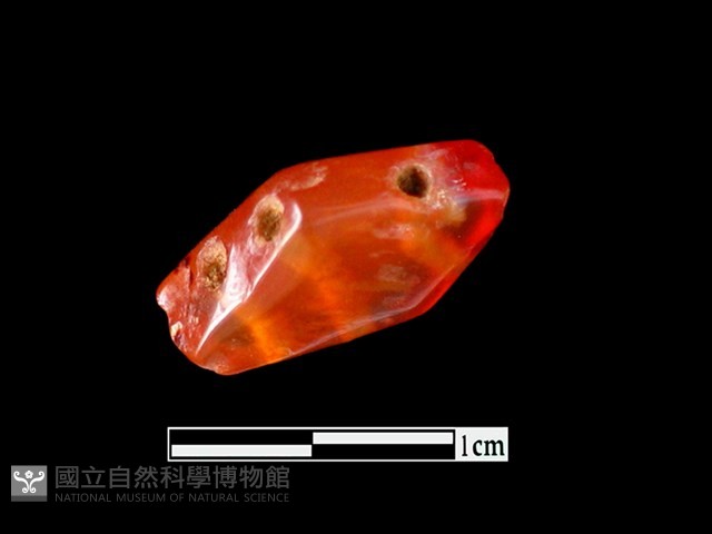 玉髓珠藏品圖，第3張