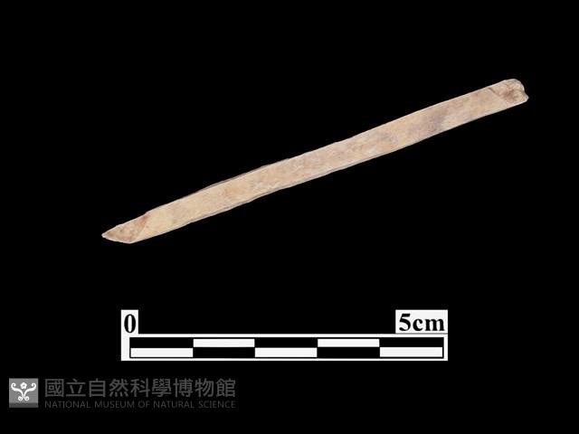 骨器藏品圖，第2張