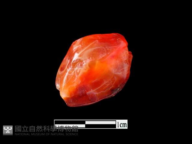 瑪瑙珠藏品圖，第3張