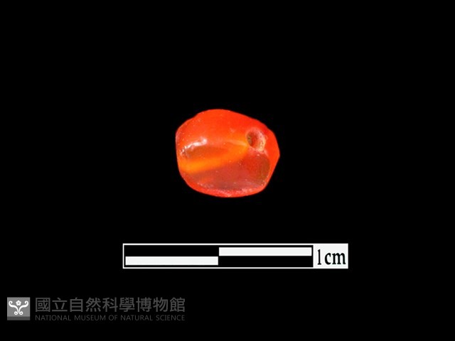 玉髓珠藏品圖，第3張