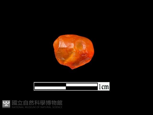 玉髓珠藏品圖，第3張