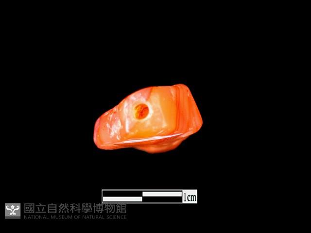 瑪瑙珠藏品圖，第3張