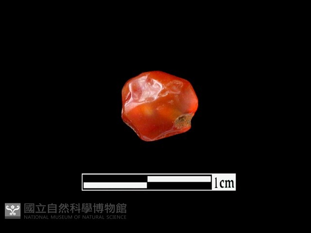 瑪瑙珠藏品圖，第3張