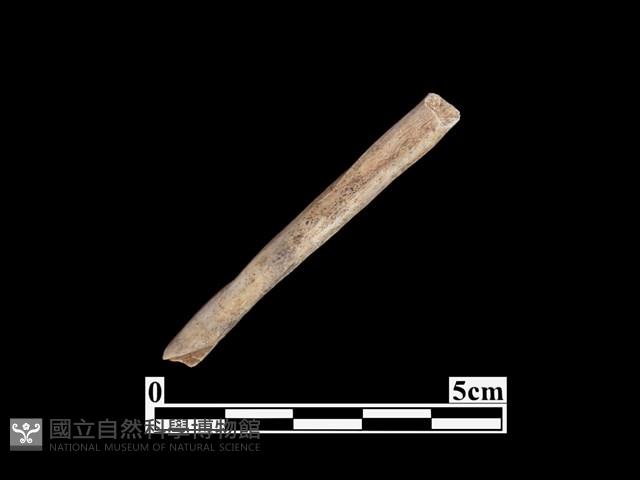 骨器藏品圖，第2張