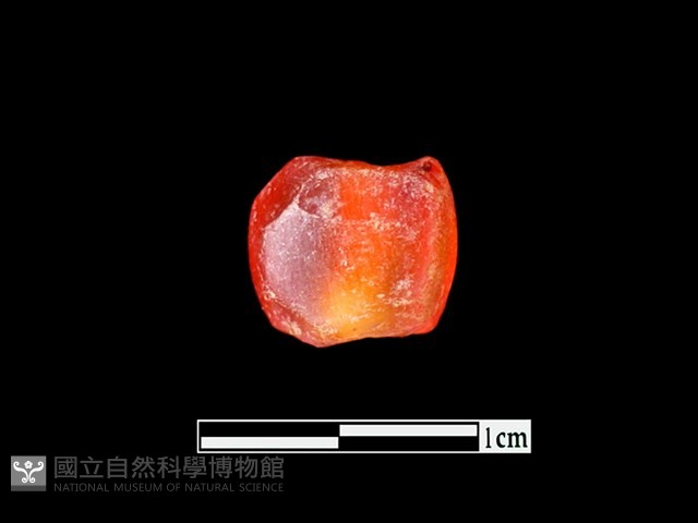 玉髓珠藏品圖，第2張