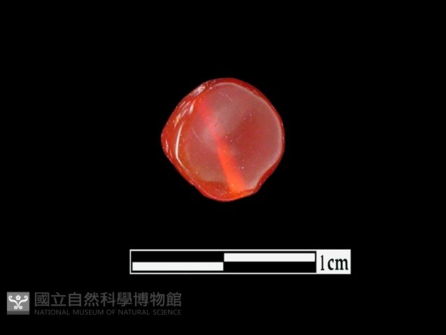 玉髓珠藏品圖，第2張