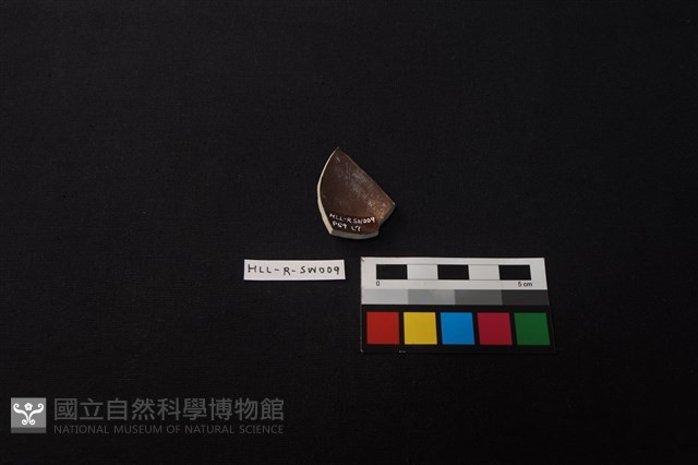 硬陶湯匙藏品圖，第2張