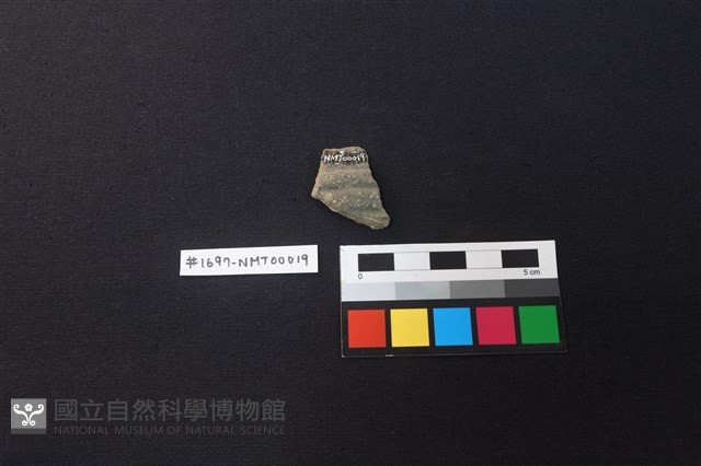 陶片藏品圖，第2張