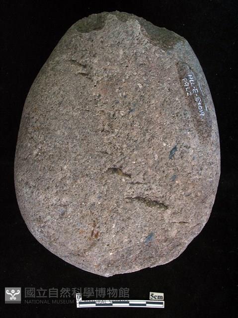 Accession Number:HLL-E-ST019 Collection Image, Figure 2, Total 2 Figures