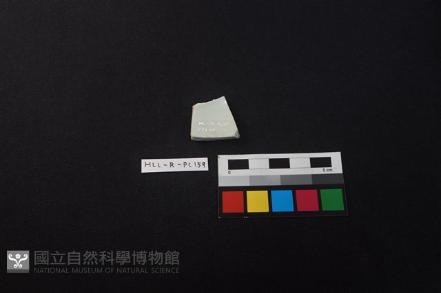 瓷片藏品圖，第2張