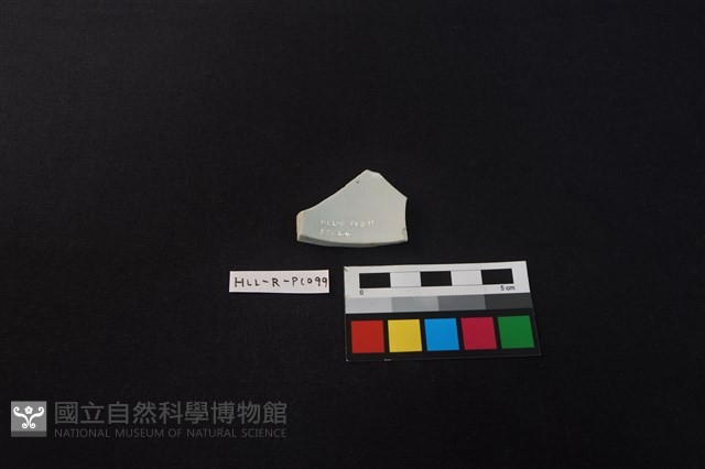 瓷片藏品圖，第2張