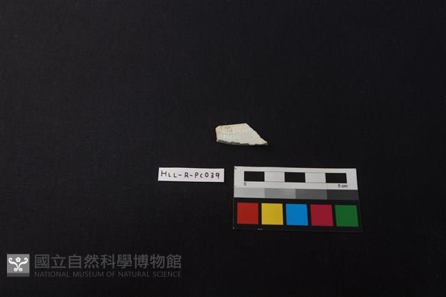 瓷碗藏品圖，第2張