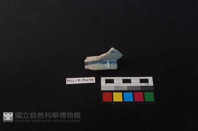 瓷片藏品圖，第2張