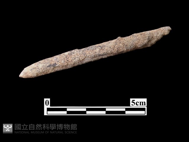骨器藏品圖，第2張
