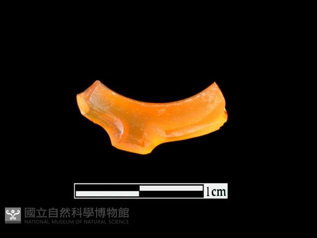 玉髓玦殘件藏品圖，第2張