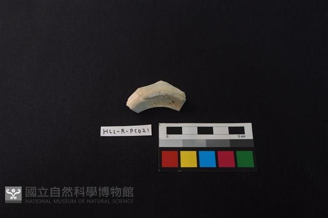 瓷片藏品圖，第2張