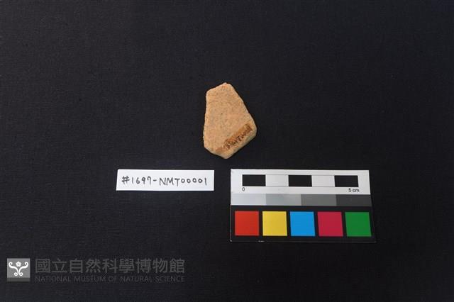 陶片藏品圖，第2張