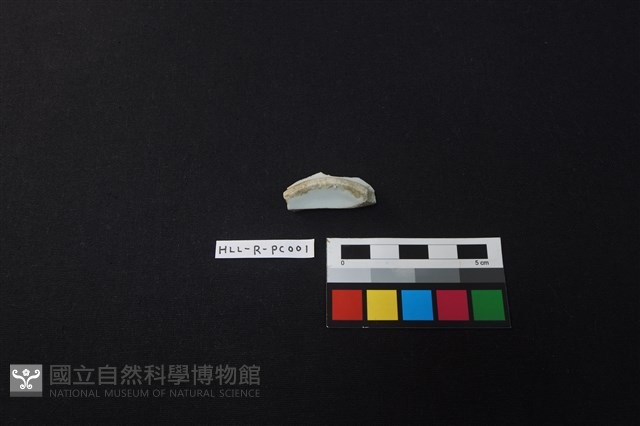 瓷片藏品圖，第2張