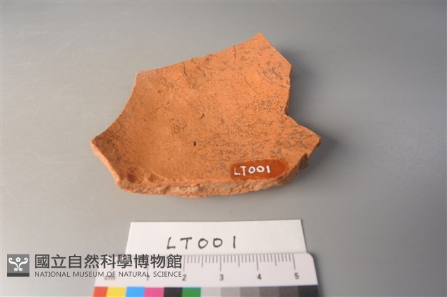 陶片藏品圖，第2張