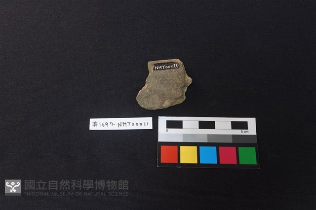 陶片藏品圖，第2張