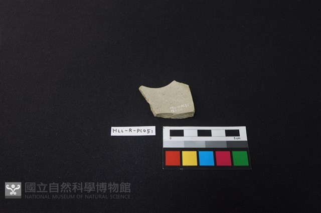 瓷片藏品圖，第2張
