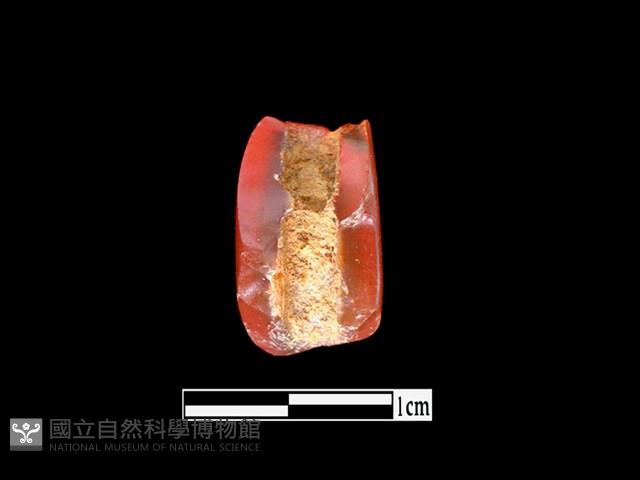 玉髓珠藏品圖，第2張