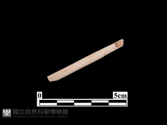骨器藏品圖，第2張