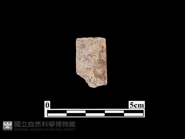 骨器藏品圖，第2張