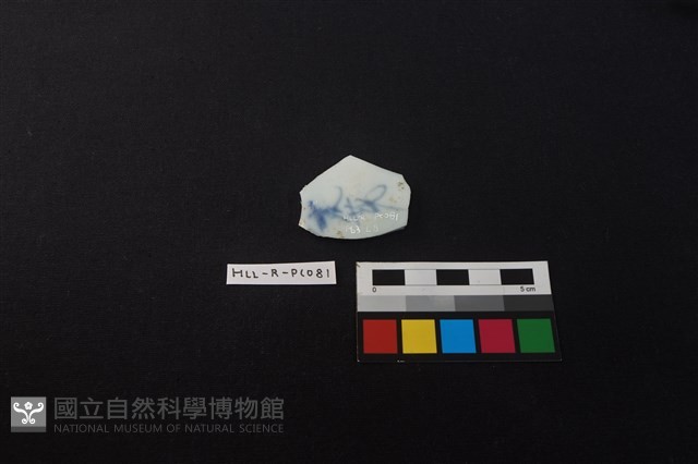 瓷片藏品圖，第2張
