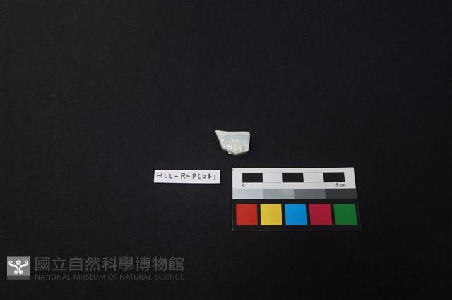 瓷片藏品圖，第2張