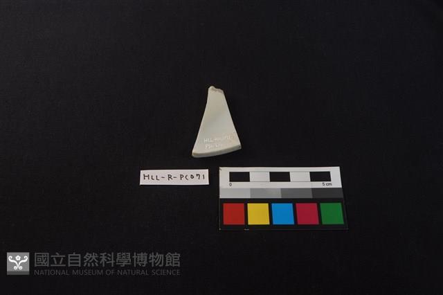 瓷片藏品圖，第2張