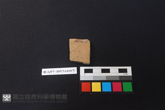 陶片藏品圖，第2張