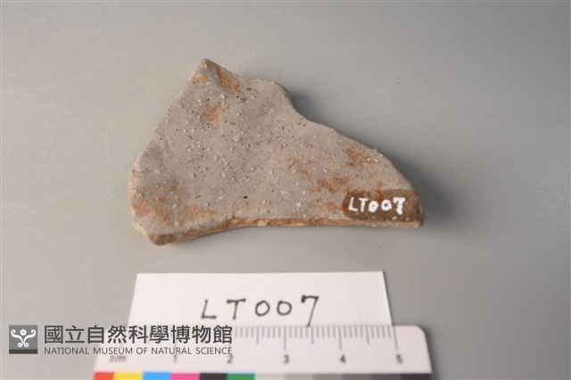 陶片藏品圖，第2張