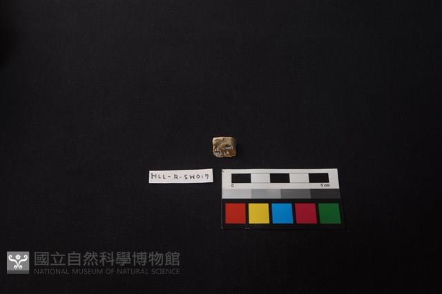 硬陶片藏品圖，第2張