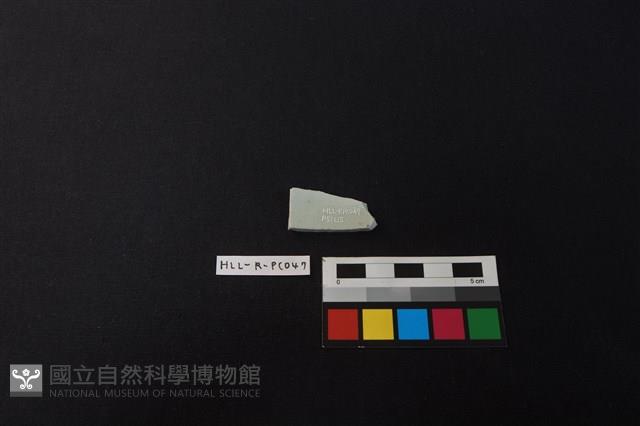 瓷片藏品圖，第2張