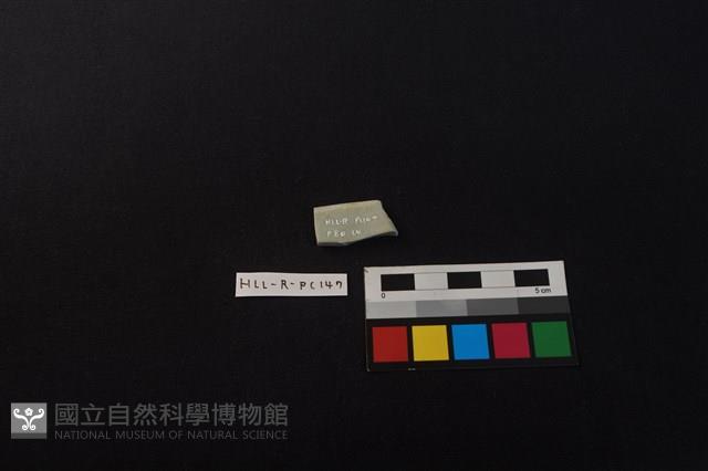 瓷片藏品圖，第2張