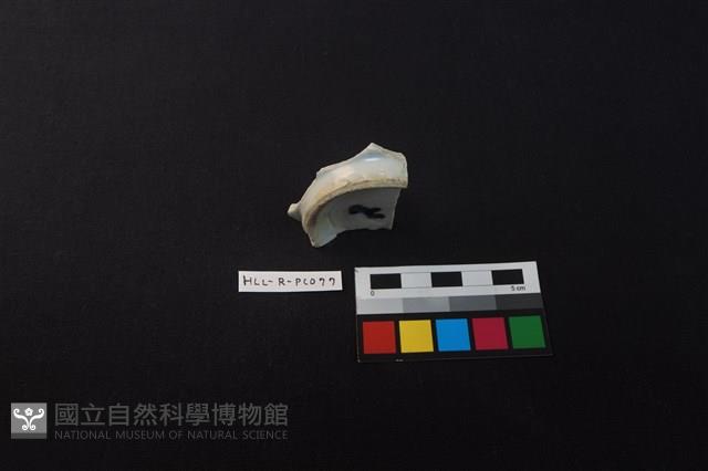 瓷碗藏品圖，第2張