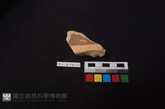 陶缸藏品圖，第2張