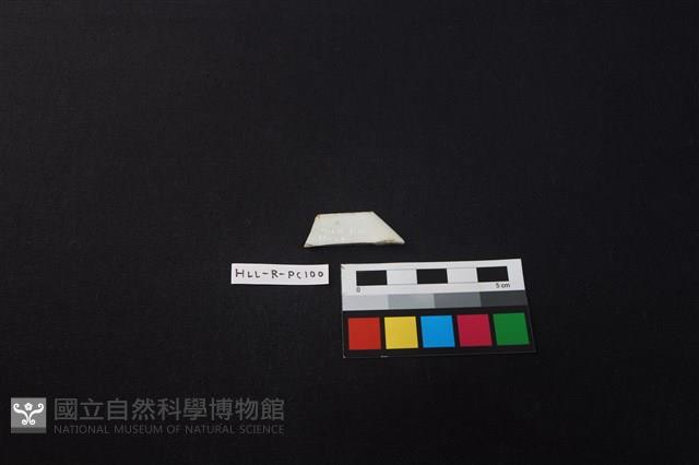 瓷片藏品圖，第2張