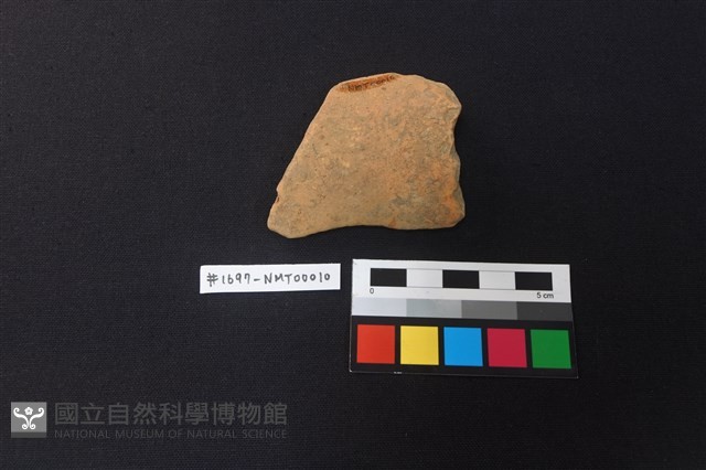 陶片藏品圖，第2張
