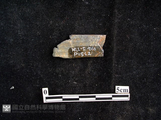 錛鑿形器藏品圖，第2張
