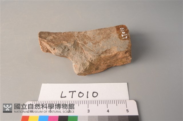 陶片藏品圖，第2張
