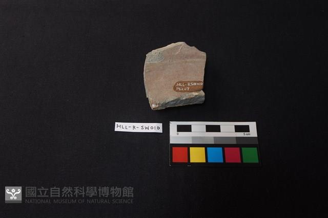 硬陶罐藏品圖，第2張