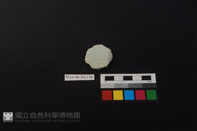 瓷片藏品圖，第2張