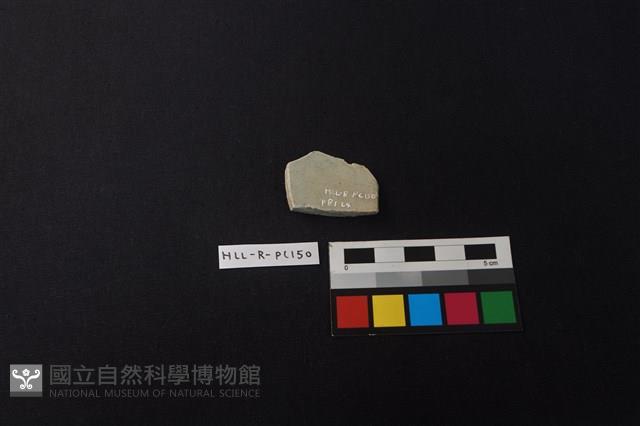 瓷片藏品圖，第2張