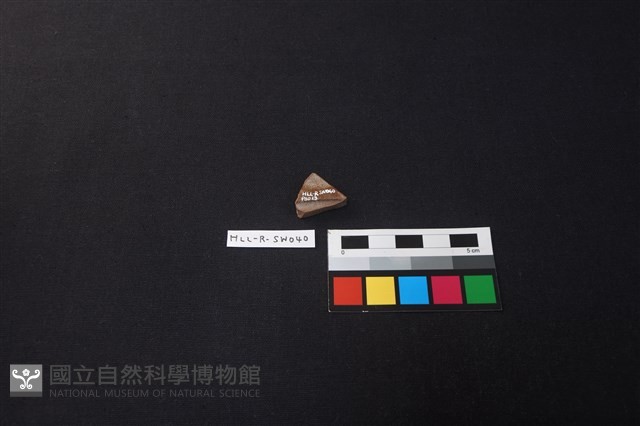 硬陶片藏品圖，第2張