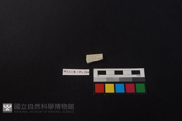 瓷片藏品圖，第2張